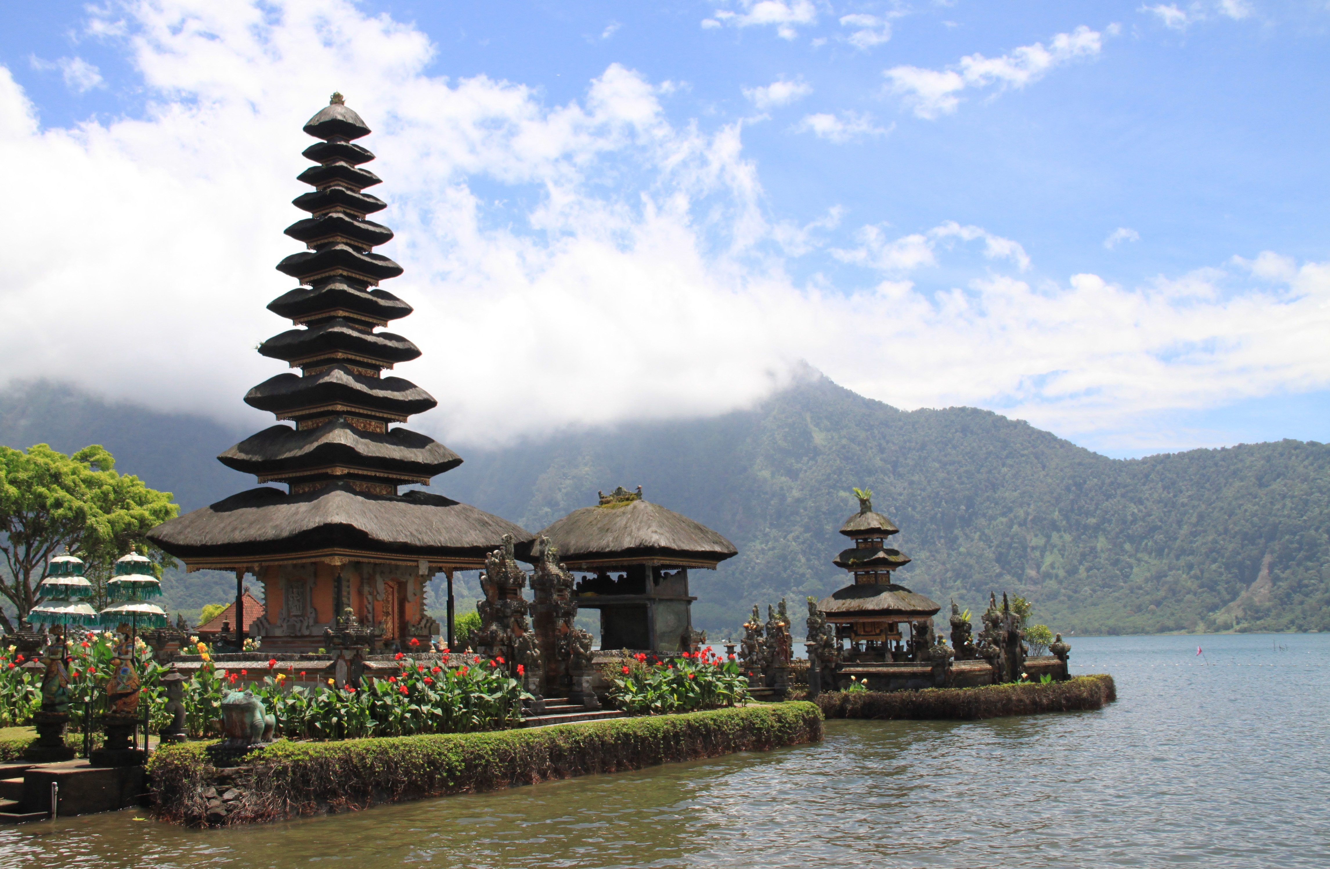 Bali mit grünen Reisterrassen und Palmen