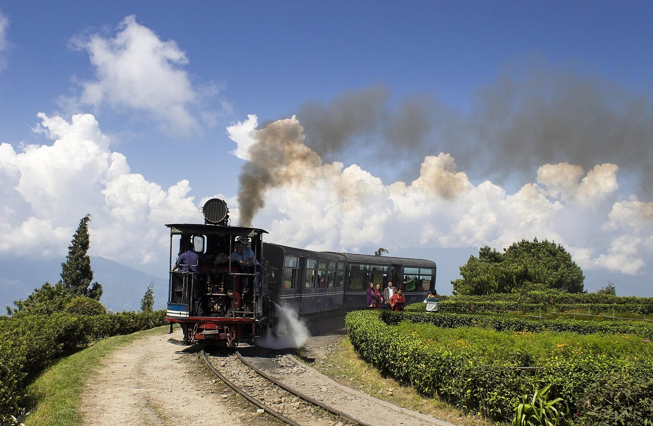 Teeplantagen in Sri Lanka